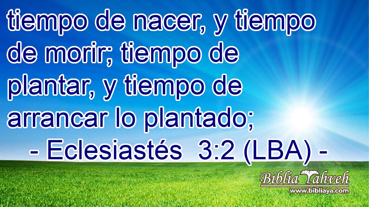 tiempo de nacer, y tiempo de morir; tiempo de plantar, y tiempo de arrancar lo plantado;