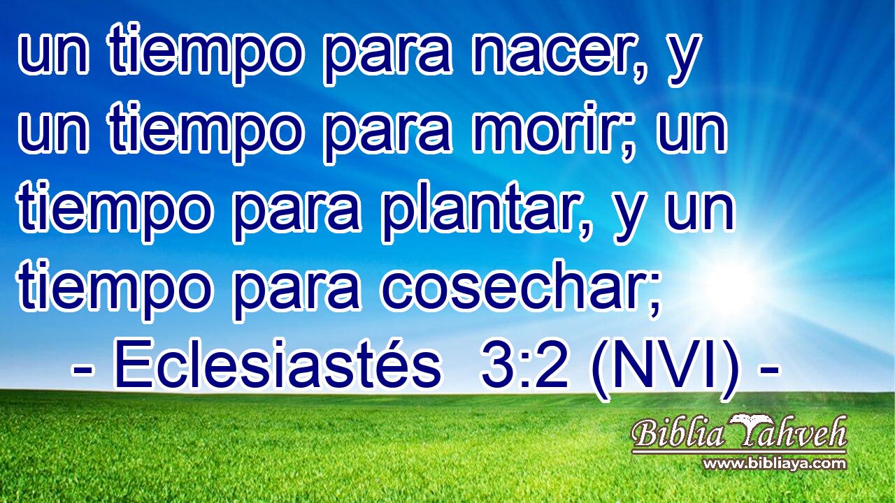  un tiempo para nacer, y un tiempo para morir; un tiempo para plantar, y un tiempo para cosechar; 