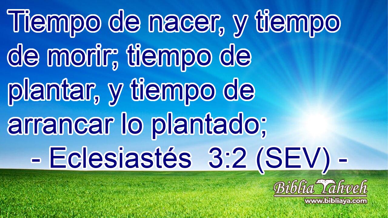 Tiempo de nacer, y tiempo de morir; tiempo de plantar, y tiempo de arrancar lo plantado;