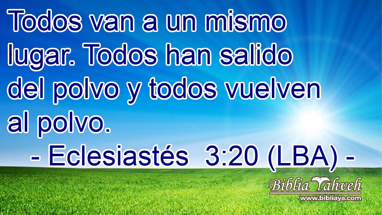 Todos van a un mismo lugar. Todos han salido del polvo y todos vuelven al polvo.