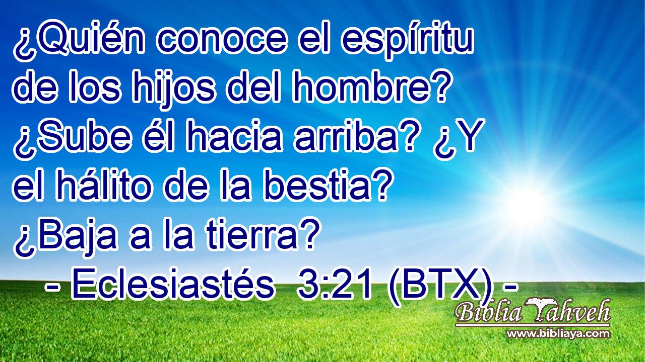 ¿Quién conoce el espíritu de los hijos del hombre? ¿Sube él hacia arriba? ¿Y el hálito de la bestia? ¿Baja a la tierra?