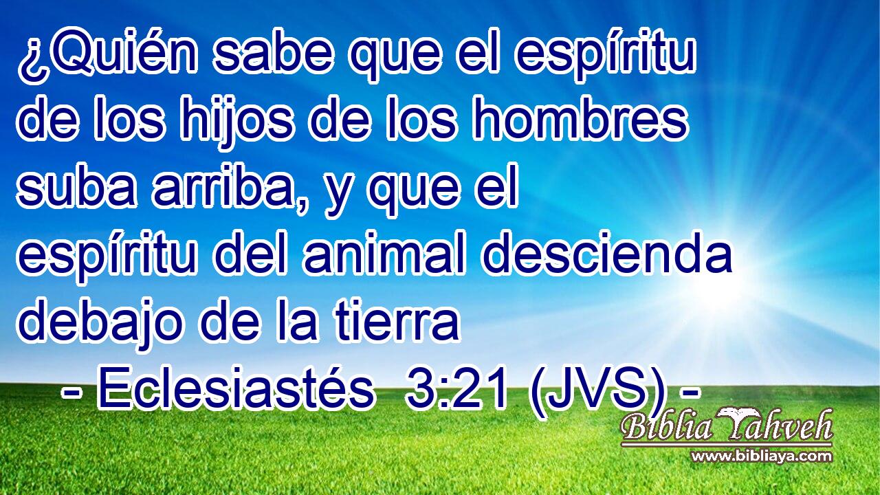 ¿Quién sabe que el espíritu de los hijos de los hombres suba arriba, y que el espíritu del animal descienda debajo de la tierra