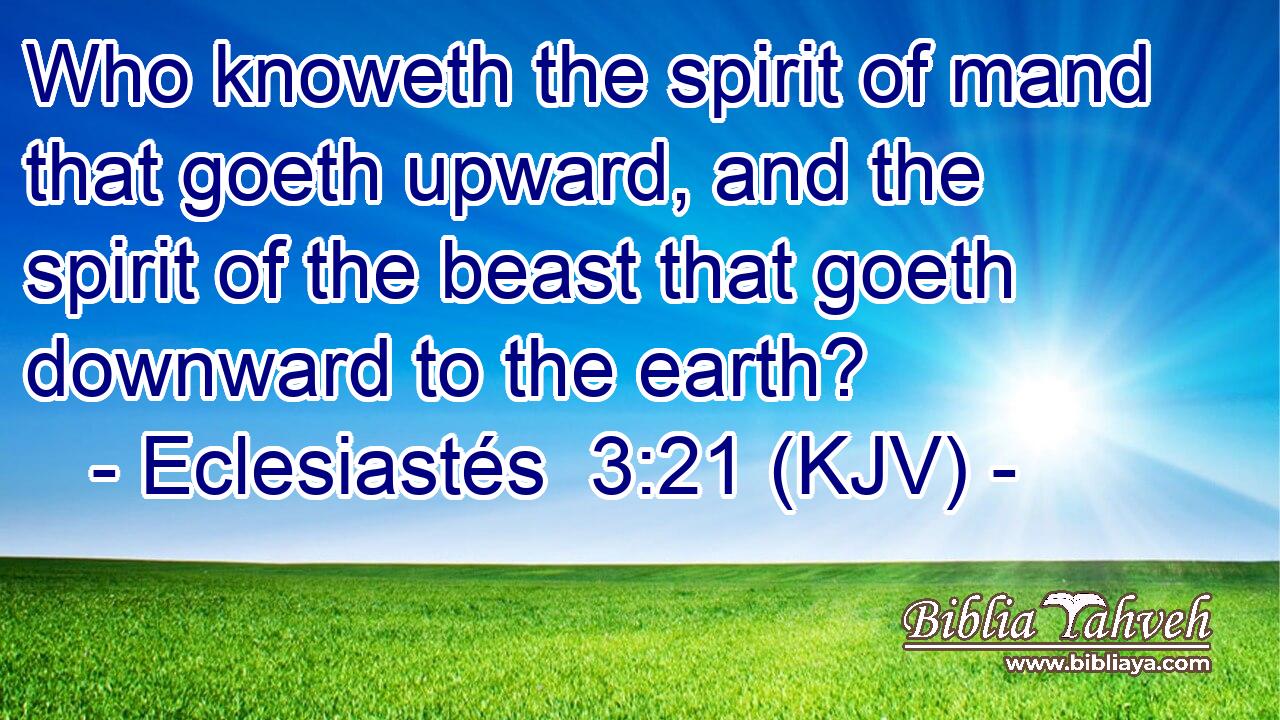 Who knoweth the spirit of mand that goeth upward, and the spirit of the beast that goeth downward to the earth?
