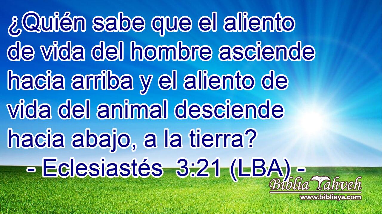 ¿Quién sabe que el aliento de vida del hombre asciende hacia arriba y el aliento de vida del animal desciende hacia abajo, a la tierra?