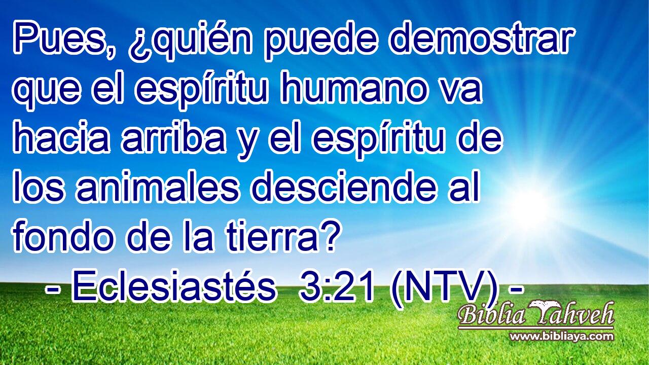 Pues, ¿quién puede demostrar que el espíritu humano va hacia arriba y el espíritu de los animales desciende al fondo de la tierra?