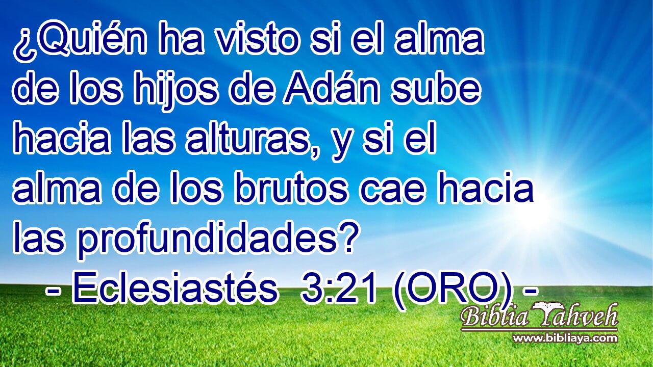  ¿Quién ha visto si el alma de los hijos de Adán sube hacia las alturas, y si el alma de los brutos cae hacia las profundidades? 