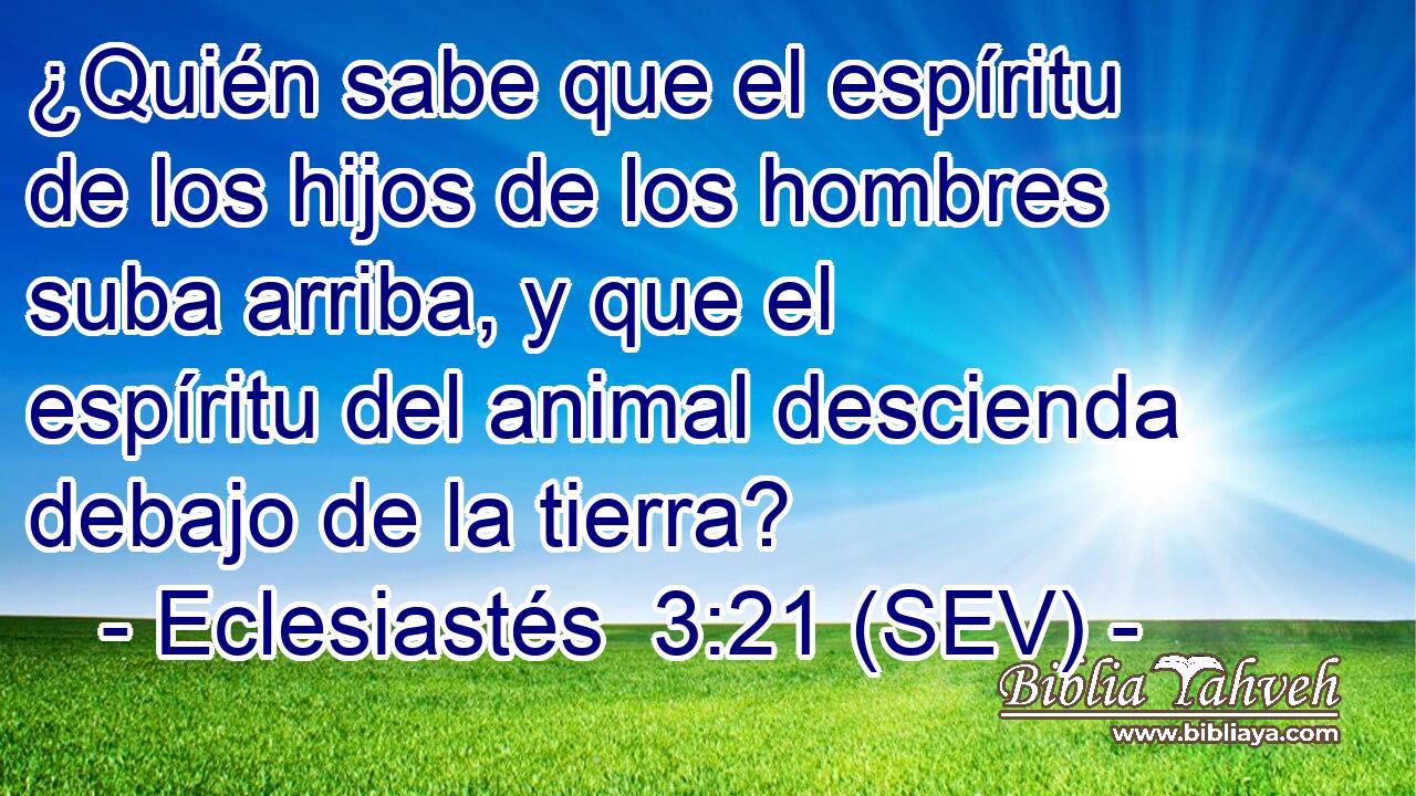 ¿Quién sabe que el espíritu de los hijos de los hombres suba arriba, y que el espíritu del animal descienda debajo de la tierra?