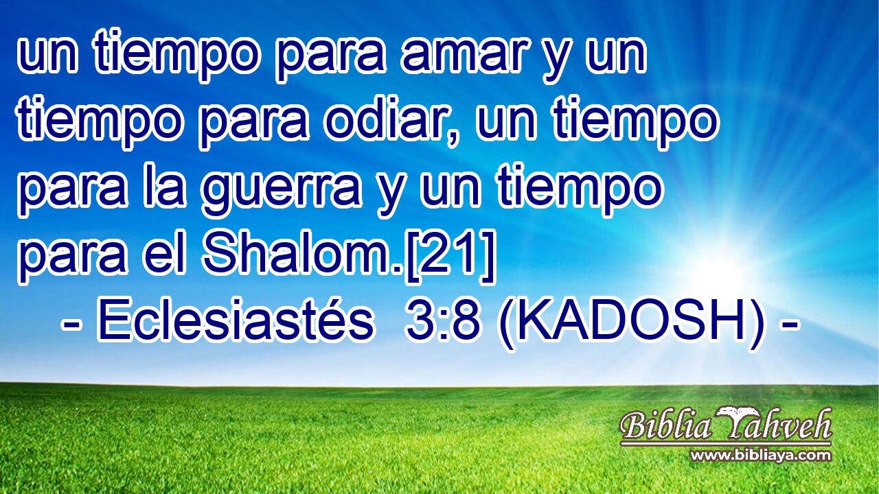  un tiempo para amar y un tiempo para odiar, un tiempo para la guerra y un tiempo para el Shalom.[21] 
