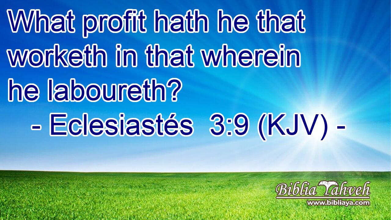 What profit hath he that worketh in that wherein he laboureth?