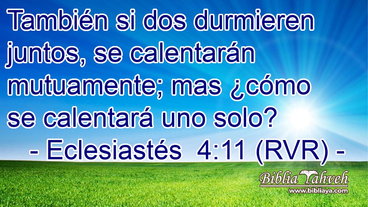 También si dos durmieren juntos, se calentarán mutuamente; mas ¿cómo se calentará uno solo?