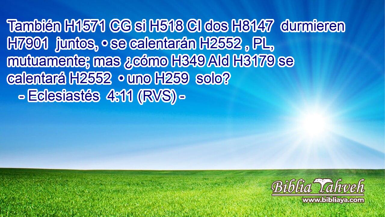 También H1571 CG si H518 CI dos H8147  durmieren H7901  juntos, • se calentarán H2552 , PL,  mutuamente; mas ¿cómo H349 AId H3179 se calentará H2552  • uno H259  solo? 