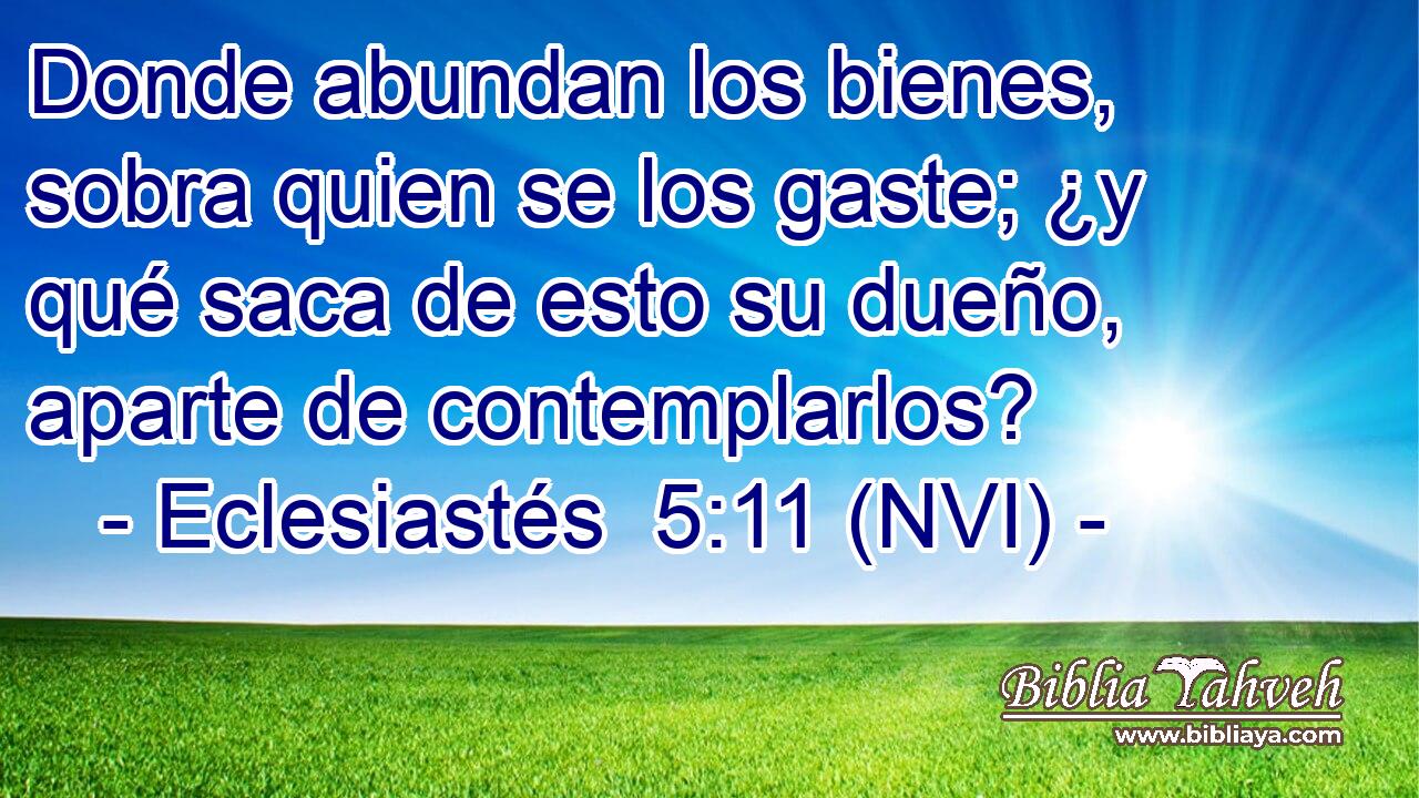  Donde abundan los bienes, sobra quien se los gaste; ¿y qué saca de esto su dueño, aparte de contemplarlos? 