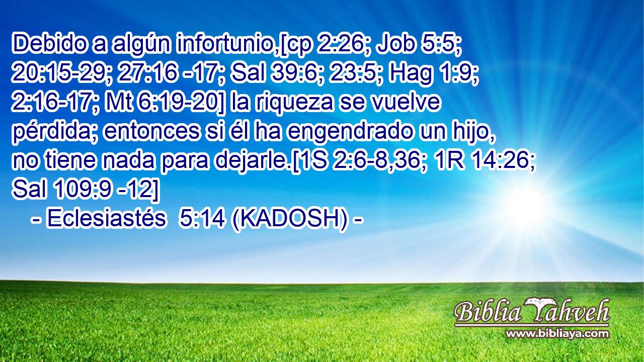  Debido a algún infortunio,[cp 2:26; Job 5:5; 20:15-29; 27:16 -17; Sal 39:6; 23:5; Hag 1:9; 2:16-17; Mt 6:19-20] la riqueza se vuelve pérdida; entonces si él ha engendrado un hijo, no tiene nada para dejarle.[1S 2:6-8,36; 1R 14:26; Sal 109:9 -12] 