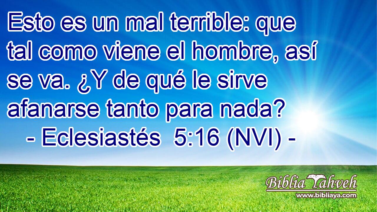  Esto es un mal terrible: que tal como viene el hombre, así se va. ¿Y de qué le sirve afanarse tanto para nada? 