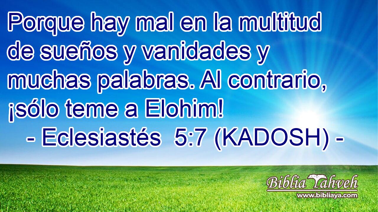  Porque hay mal en la multitud de sueños y vanidades y muchas palabras. Al contrario, ¡sólo teme a Elohim! 