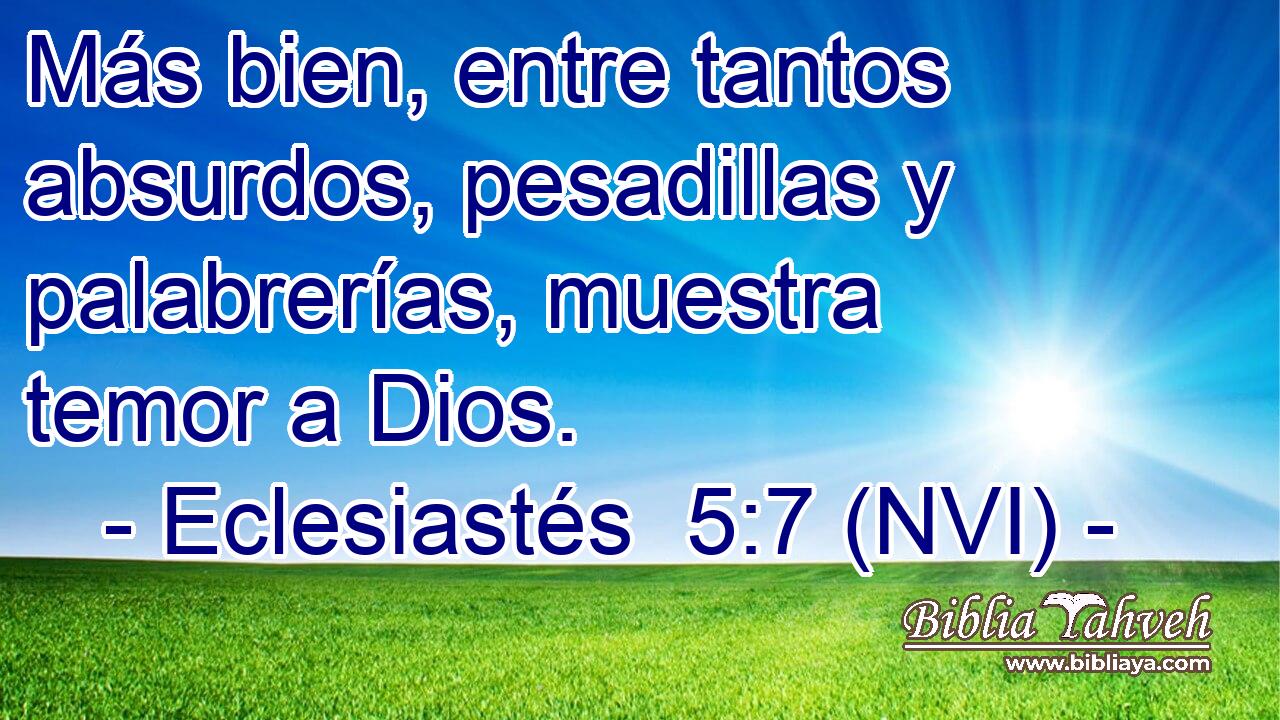  Más bien, entre tantos absurdos, pesadillas y palabrerías, muestra temor a Dios. 