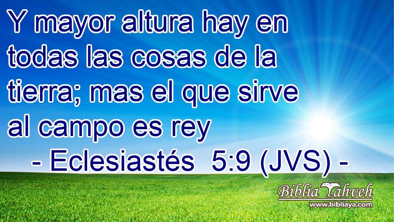 Y mayor altura hay en todas las cosas de la tierra; mas el que sirve al campo es rey