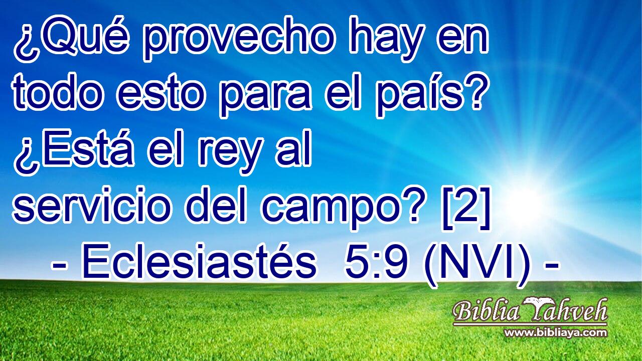  ¿Qué provecho hay en todo esto para el país? ¿Está el rey al servicio del campo? [2] 
