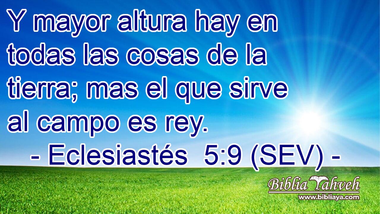 Y mayor altura hay en todas las cosas de la tierra; mas el que sirve al campo es rey.