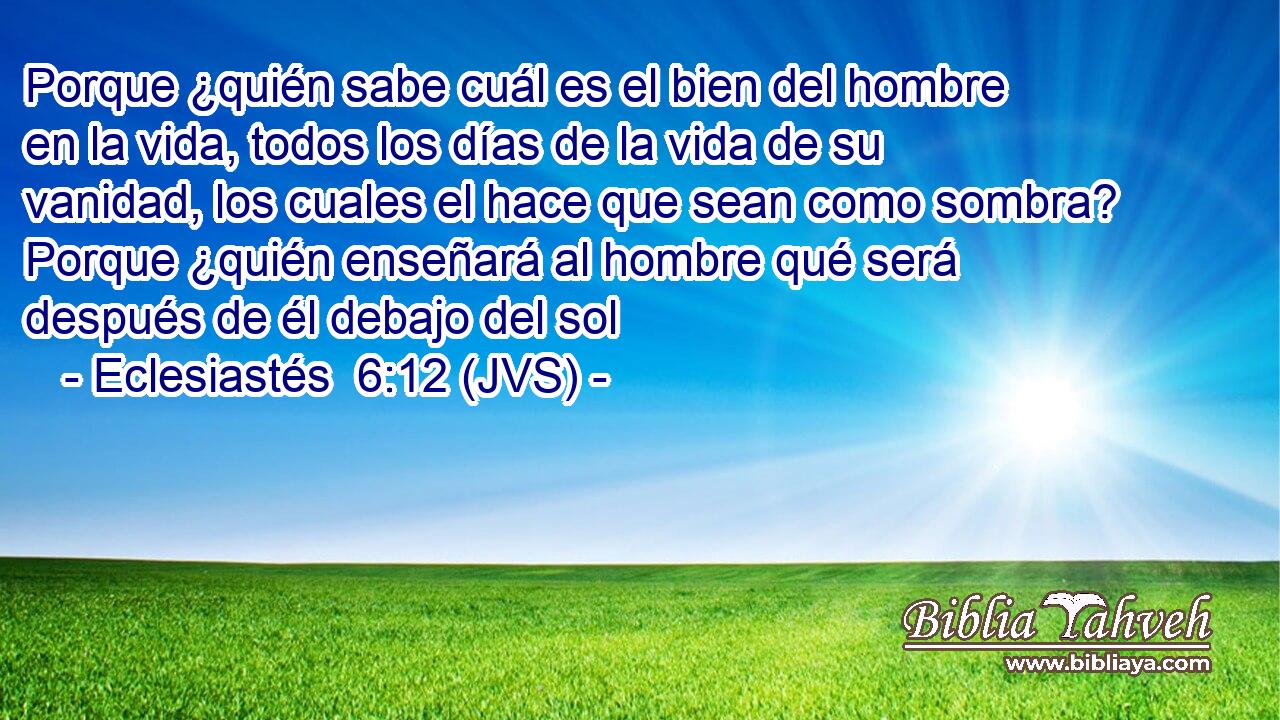 Porque ¿quién sabe cuál es el bien del hombre en la vida, todos los días de la vida de su vanidad, los cuales el hace que sean como sombra? Porque ¿quién enseñará al hombre qué será después de él debajo del sol