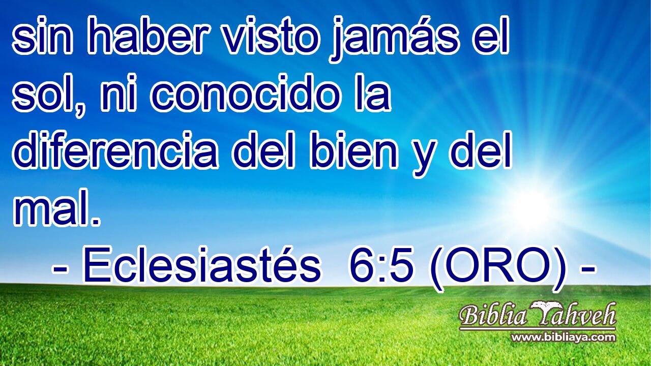  sin haber visto jamás el sol, ni conocido la diferencia del bien y del mal. 