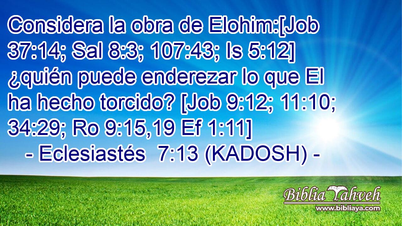  Considera la obra de Elohim:[Job 37:14; Sal 8:3; 107:43; Is 5:12] ¿quién puede enderezar lo que El ha hecho torcido? [Job 9:12; 11:10; 34:29; Ro 9:15,19 Ef 1:11] 