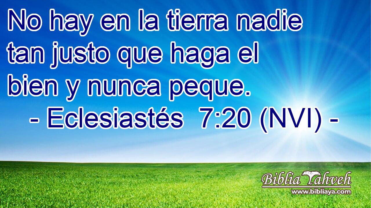  No hay en la tierra nadie tan justo que haga el bien y nunca peque. 