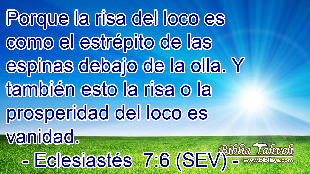 Porque la risa del loco es como el estrépito de las espinas debajo de la olla. Y también esto la risa o la prosperidad del loco es vanidad.