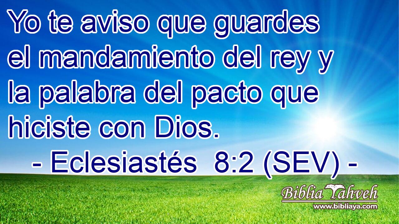 Yo te aviso que guardes el mandamiento del rey y la palabra del pacto que hiciste con Dios.