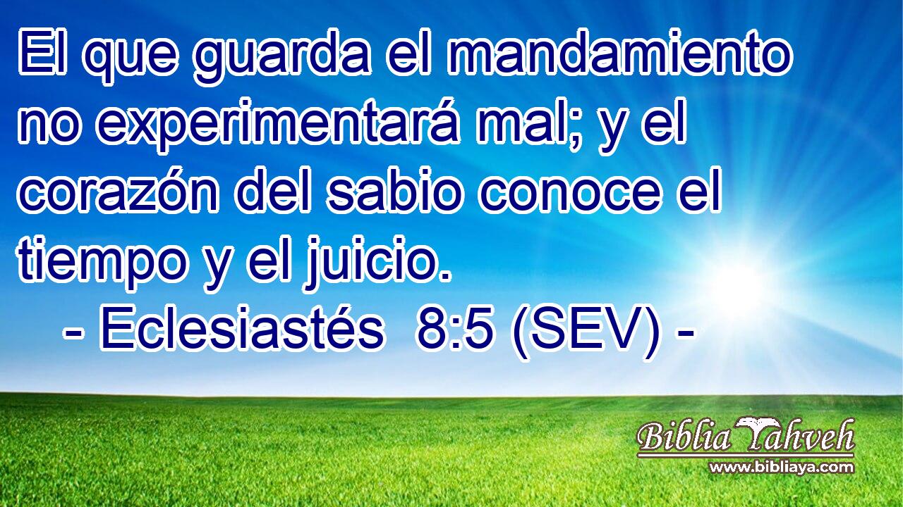 El que guarda el mandamiento no experimentará mal; y el corazón del sabio conoce el tiempo y el juicio.
