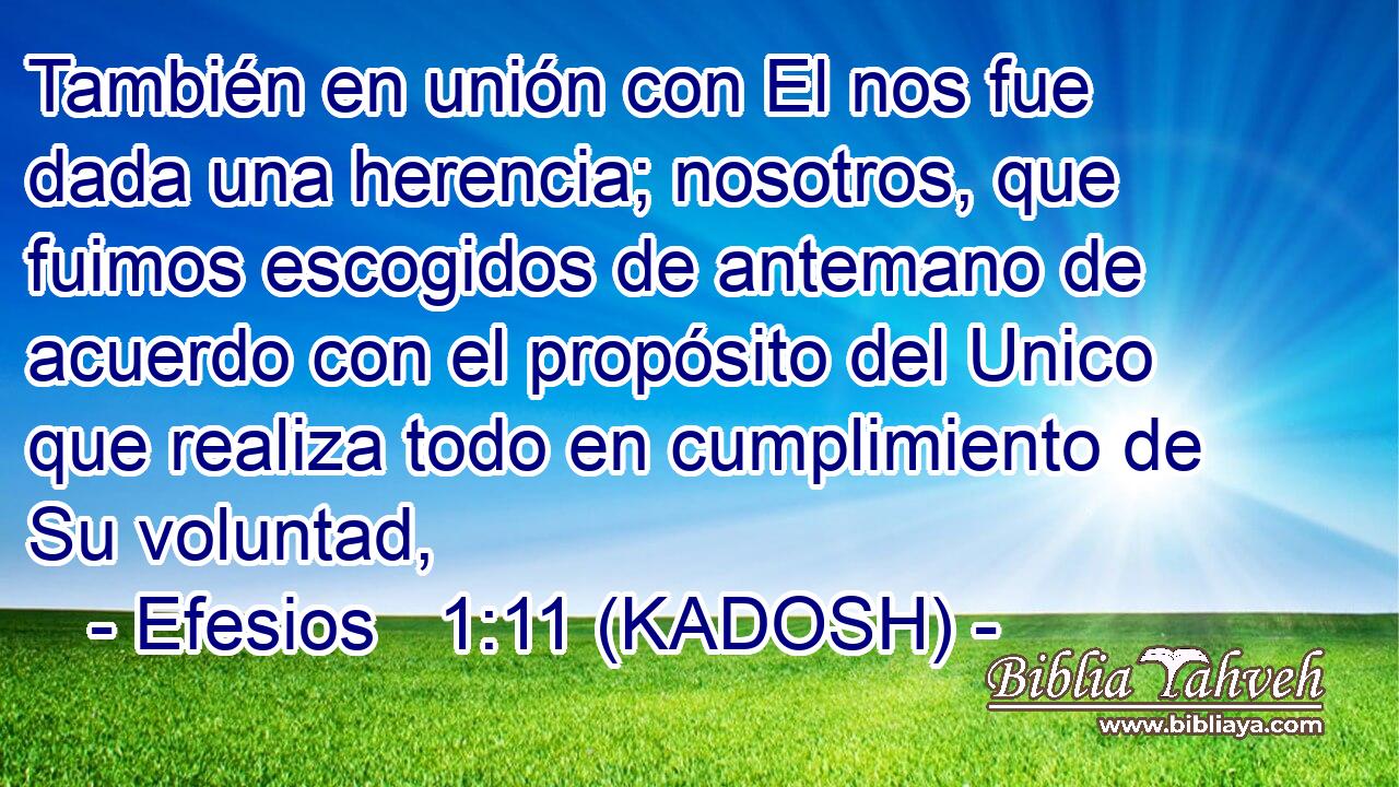  También en unión con El nos fue dada una herencia; nosotros, que fuimos escogidos de antemano de acuerdo con el propósito del Unico que realiza todo en cumplimiento de Su voluntad, 