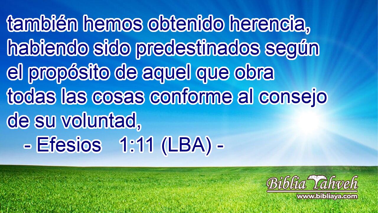 también hemos obtenido herencia, habiendo sido predestinados según el propósito de aquel que obra todas las cosas conforme al consejo de su voluntad,