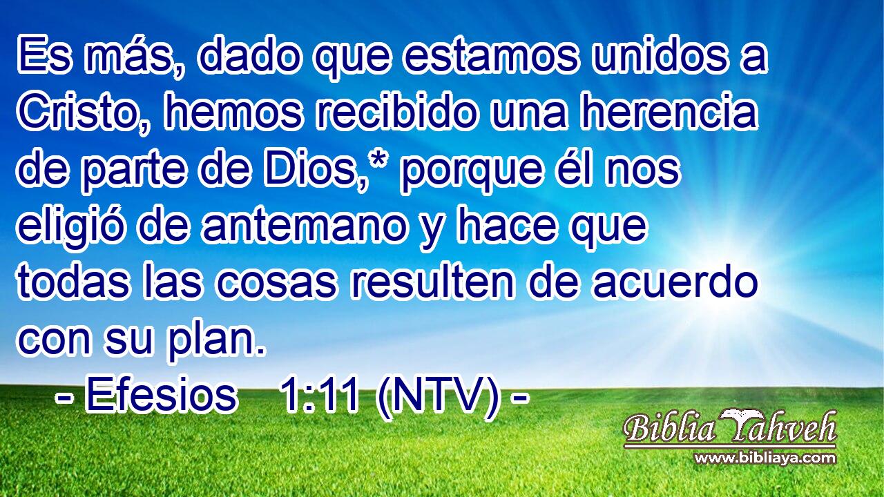 Es más, dado que estamos unidos a Cristo, hemos recibido una herencia de parte de Dios,* porque él nos eligió de antemano y hace que todas las cosas resulten de acuerdo con su plan.