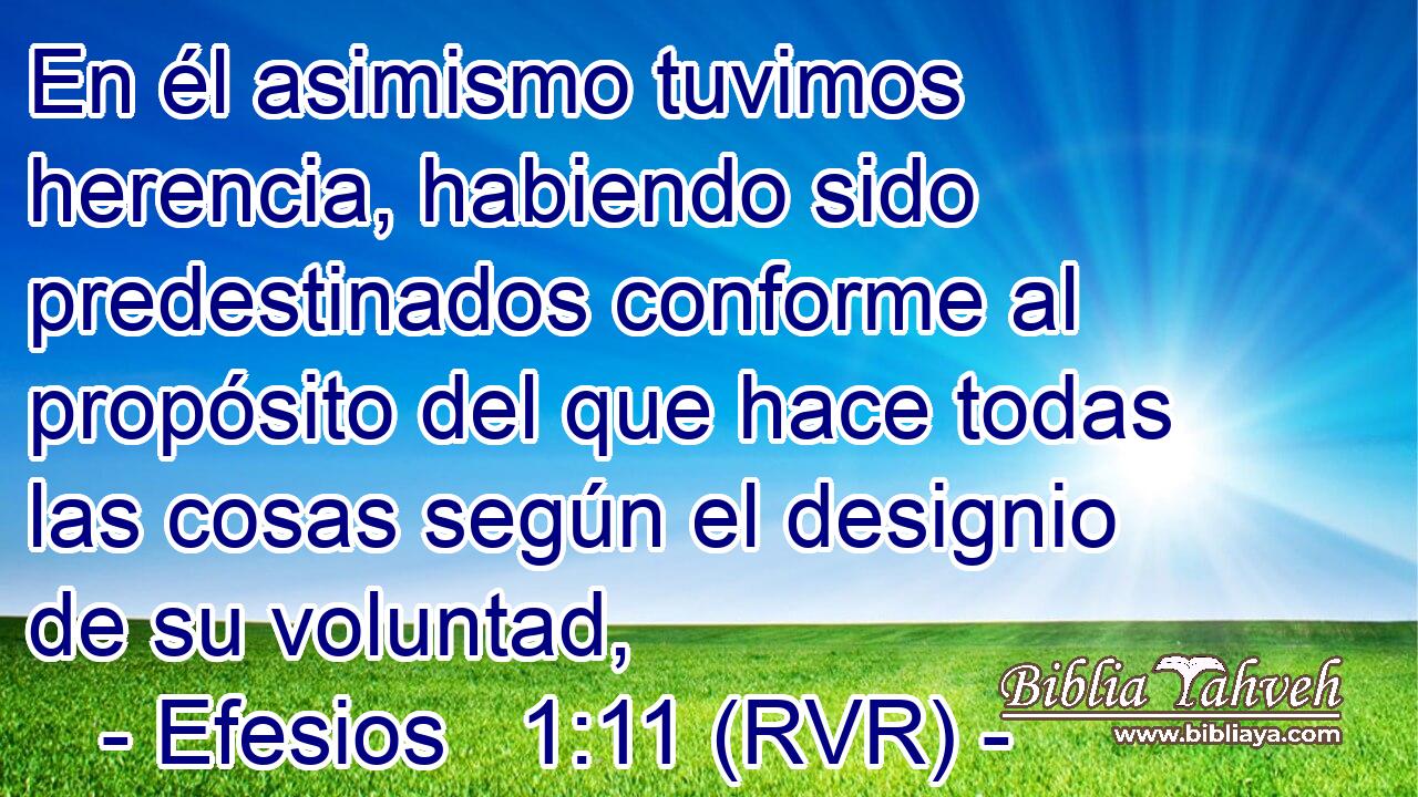 En él asimismo tuvimos herencia, habiendo sido predestinados conforme al propósito del que hace todas las cosas según el designio de su voluntad,