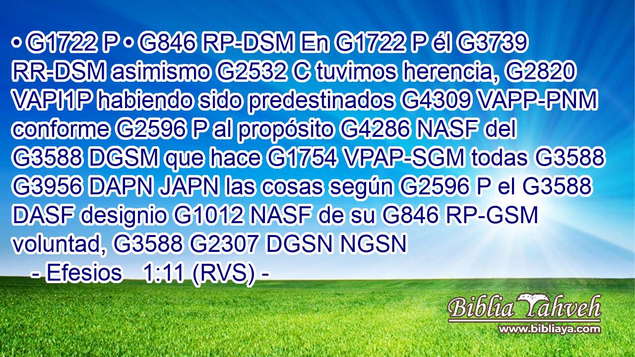 • G1722 P • G846 RP-DSM En G1722 P él G3739 RR-DSM asimismo G2532 C tuvimos herencia, G2820 VAPI1P habiendo sido predestinados G4309 VAPP-PNM conforme G2596 P al propósito G4286 NASF del G3588 DGSM que hace G1754 VPAP-SGM todas G3588 G3956 DAPN JAPN las cosas según G2596 P el G3588 DASF designio G1012 NASF de su G846 RP-GSM voluntad, G3588 G2307 DGSN NGSN 