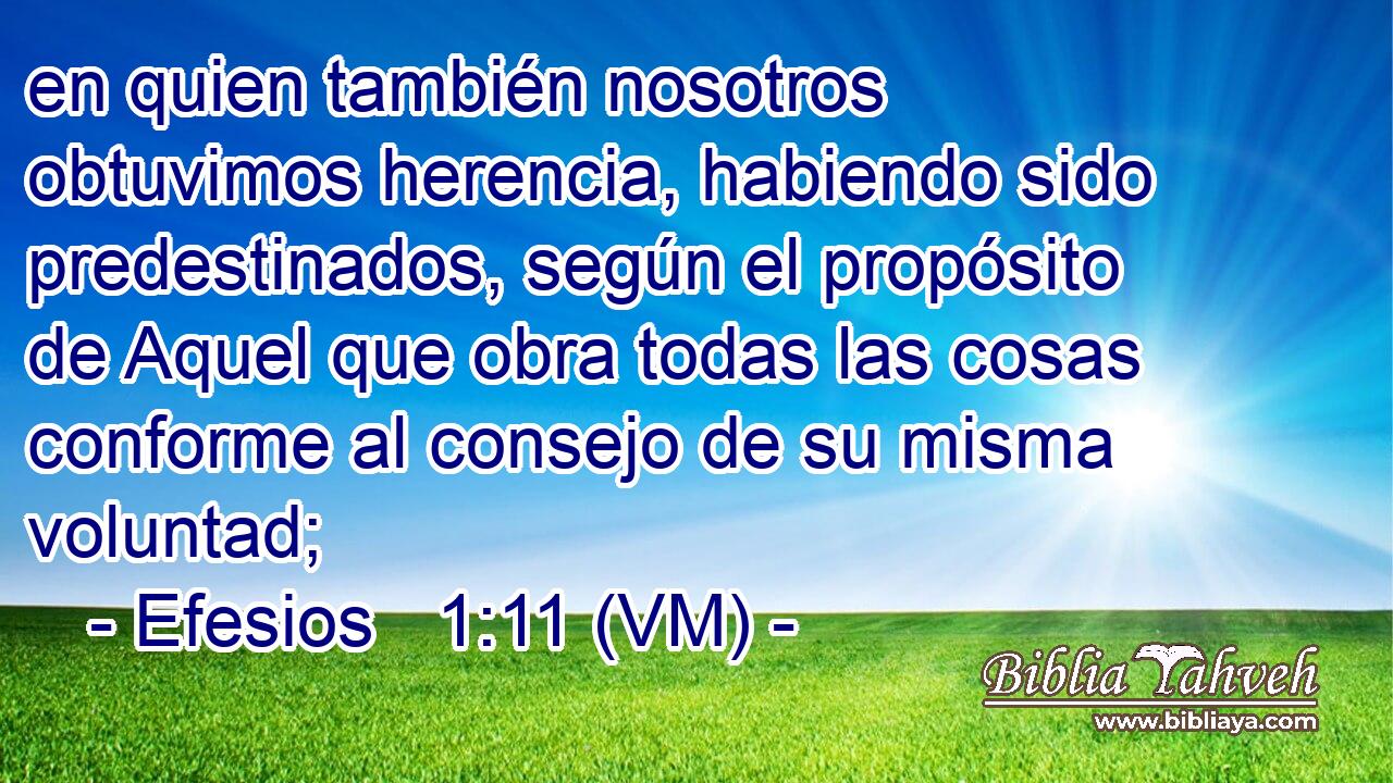  en quien también nosotros obtuvimos herencia, habiendo sido predestinados, según el propósito de Aquel que obra todas las cosas conforme al consejo de su misma voluntad; 