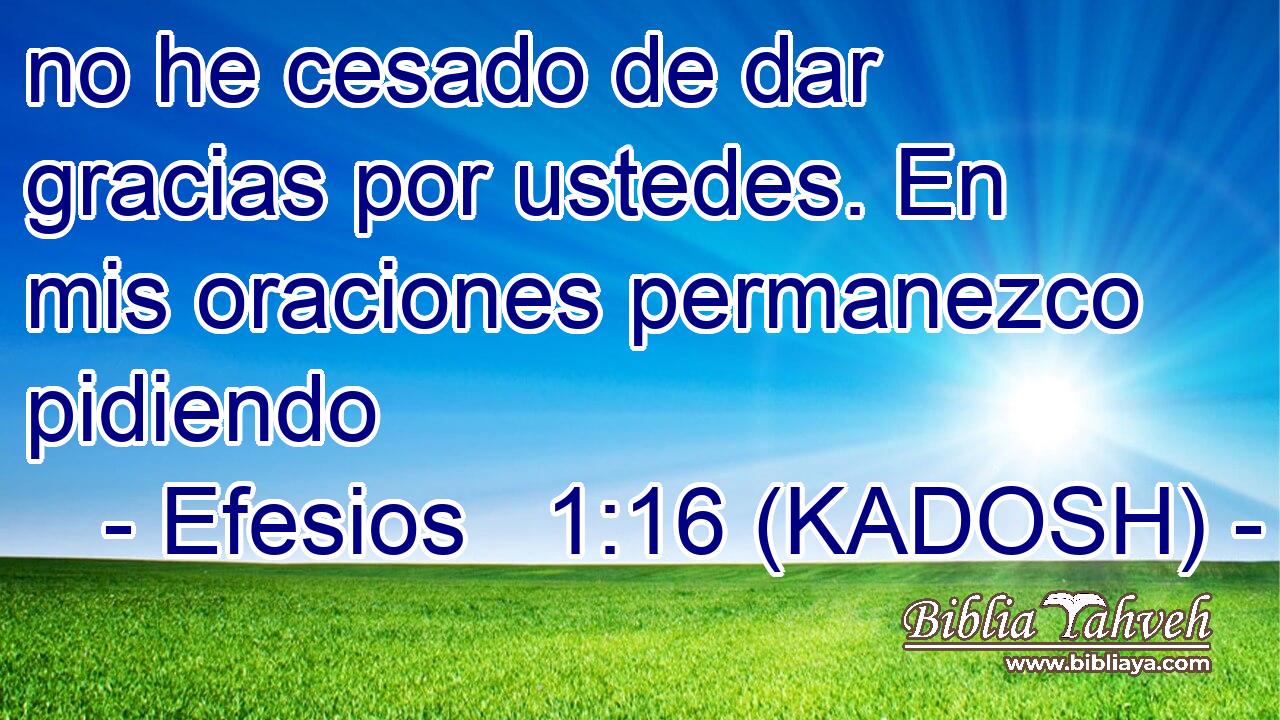  no he cesado de dar gracias por ustedes. En mis oraciones permanezco pidiendo 