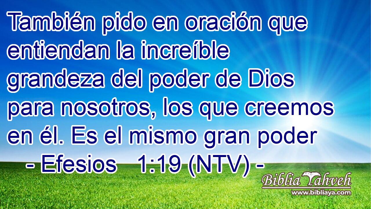 También pido en oración que entiendan la increíble grandeza del poder de Dios para nosotros, los que creemos en él. Es el mismo gran poder