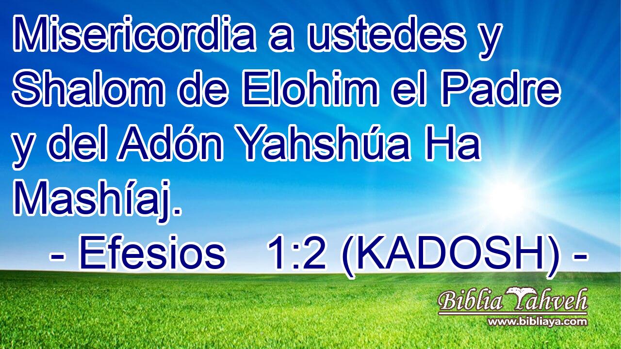  Misericordia a ustedes y Shalom de Elohim el Padre y del Adón Yahshúa Ha Mashíaj. 