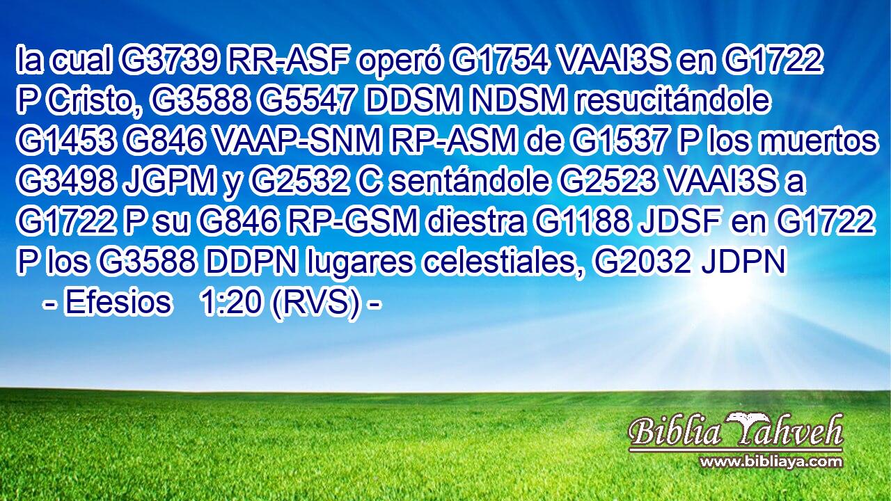 la cual G3739 RR-ASF operó G1754 VAAI3S en G1722 P Cristo, G3588 G5547 DDSM NDSM resucitándole G1453 G846 VAAP-SNM RP-ASM de G1537 P los muertos G3498 JGPM y G2532 C sentándole G2523 VAAI3S a G1722 P su G846 RP-GSM diestra G1188 JDSF en G1722 P los G3588 DDPN lugares celestiales, G2032 JDPN 