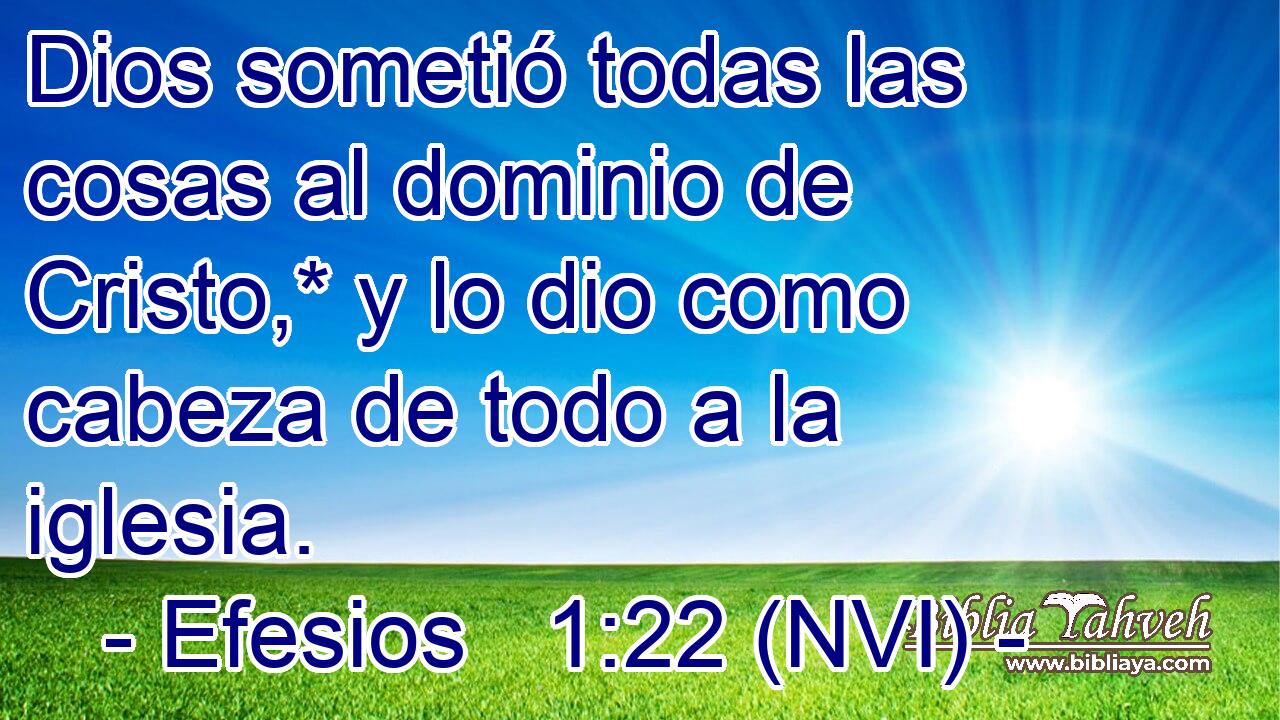  Dios sometió todas las cosas al dominio de Cristo,* y lo dio como cabeza de todo a la iglesia. 