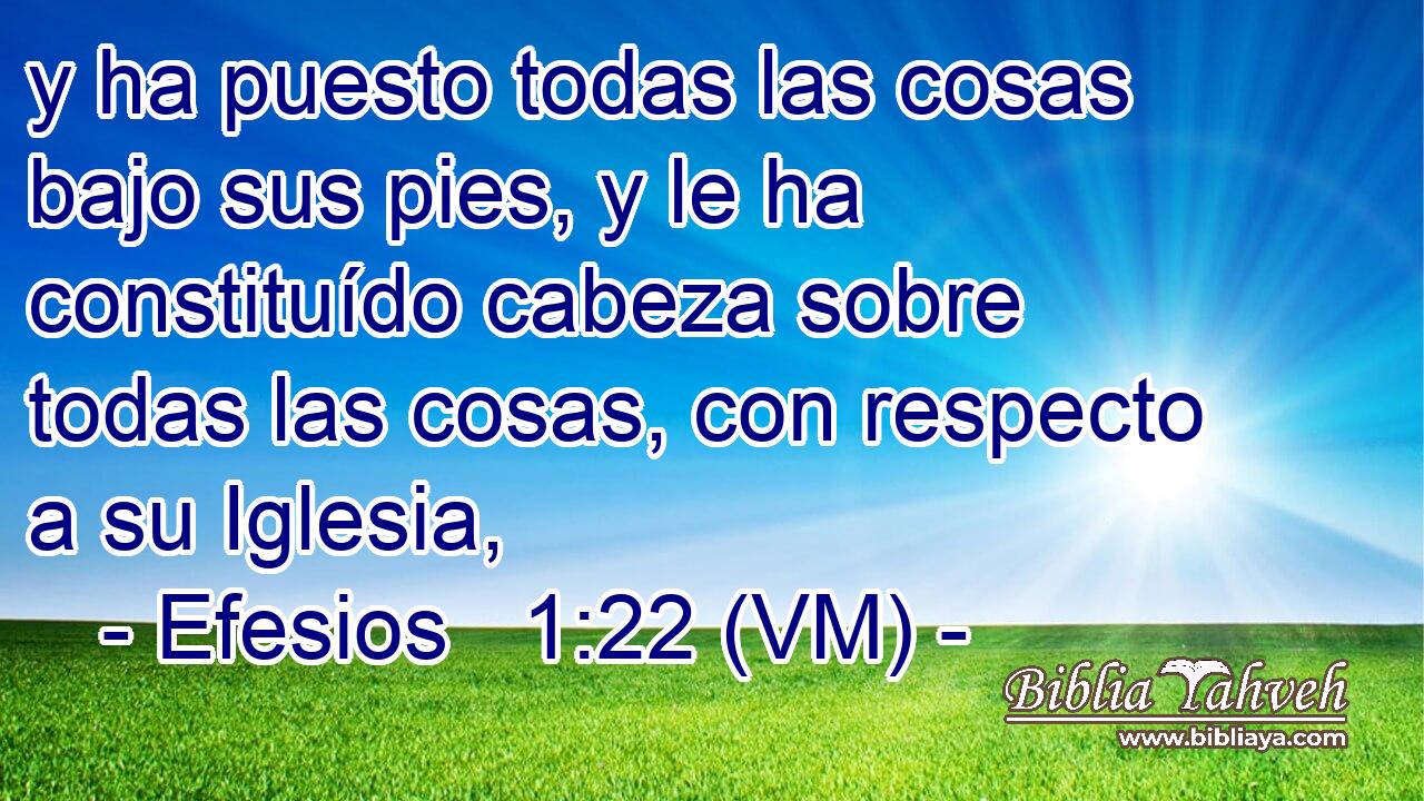  y ha puesto todas las cosas bajo sus pies, y le ha constituído cabeza sobre todas las cosas, con respecto a su Iglesia, 