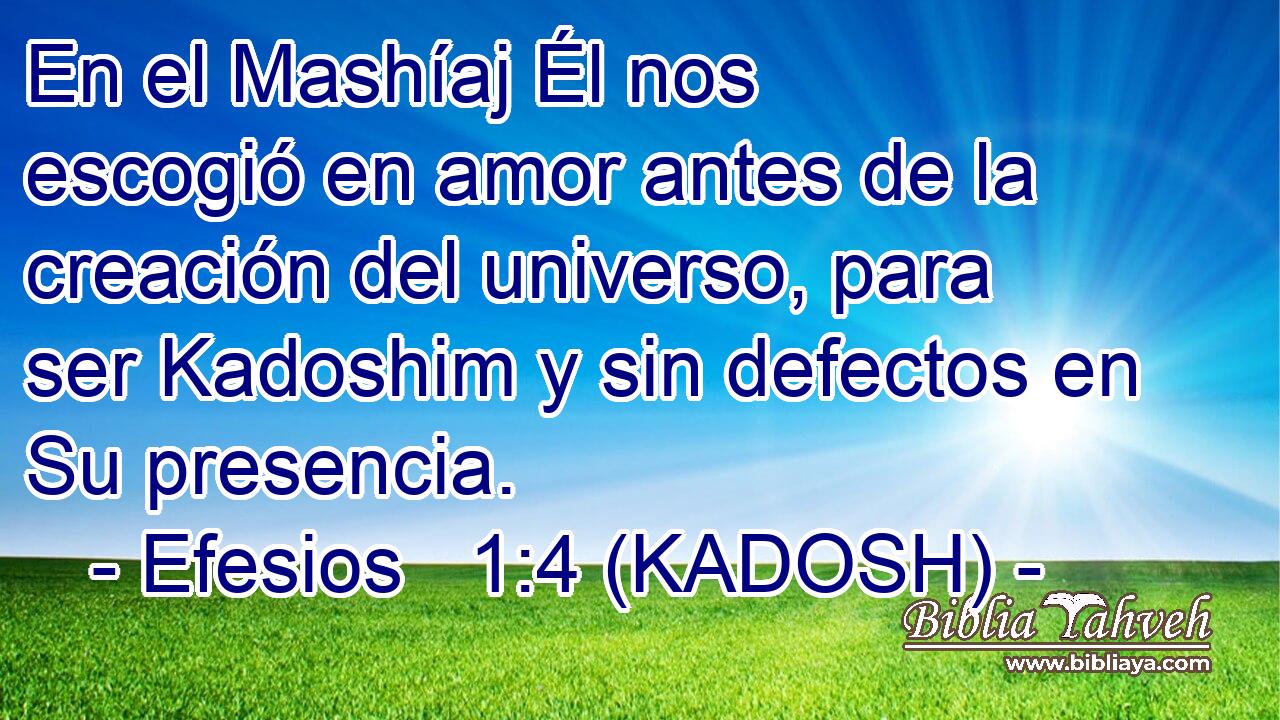  En el Mashíaj Él nos escogió en amor antes de la creación del universo, para ser Kadoshim y sin defectos en Su presencia. 