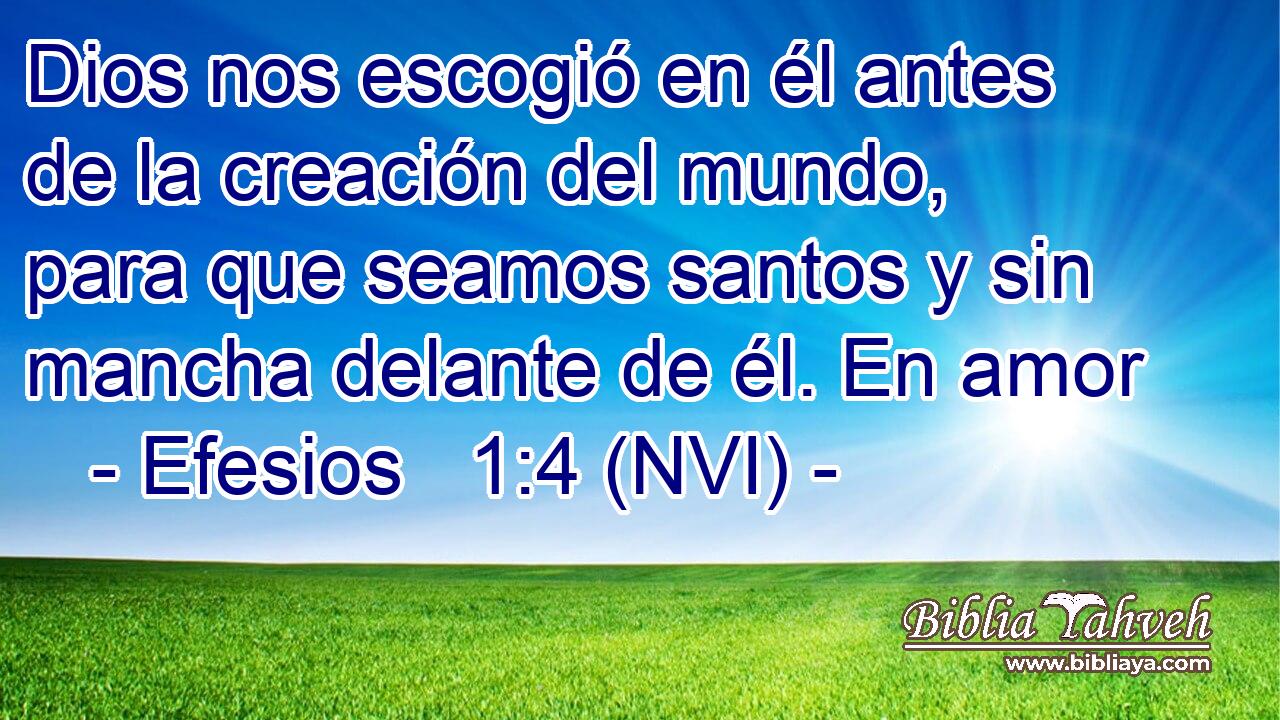  Dios nos escogió en él antes de la creación del mundo, para que seamos santos y sin mancha delante de él. En amor 