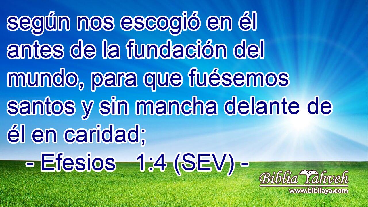 según nos escogió en él antes de la fundación del mundo, para que fuésemos santos y sin mancha delante de él en caridad;