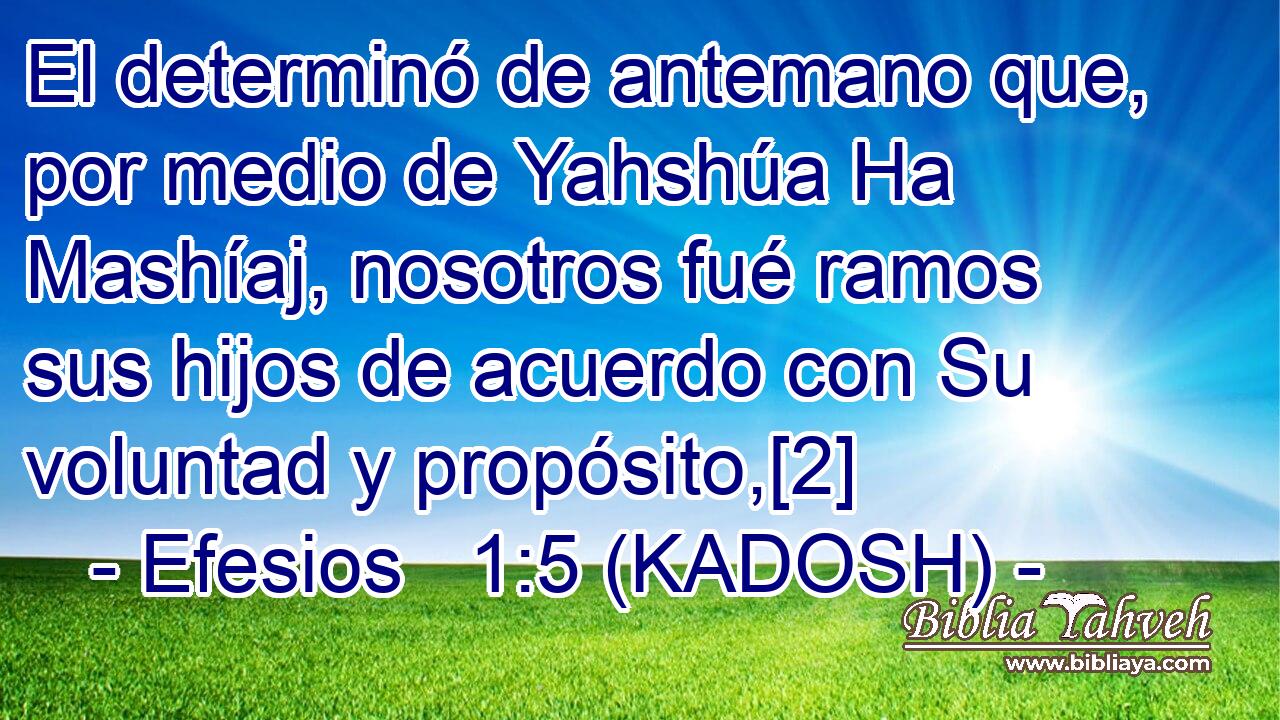  El determinó de antemano que, por medio de Yahshúa Ha Mashíaj, nosotros fué ramos sus hijos de acuerdo con Su voluntad y propósito,[2] 