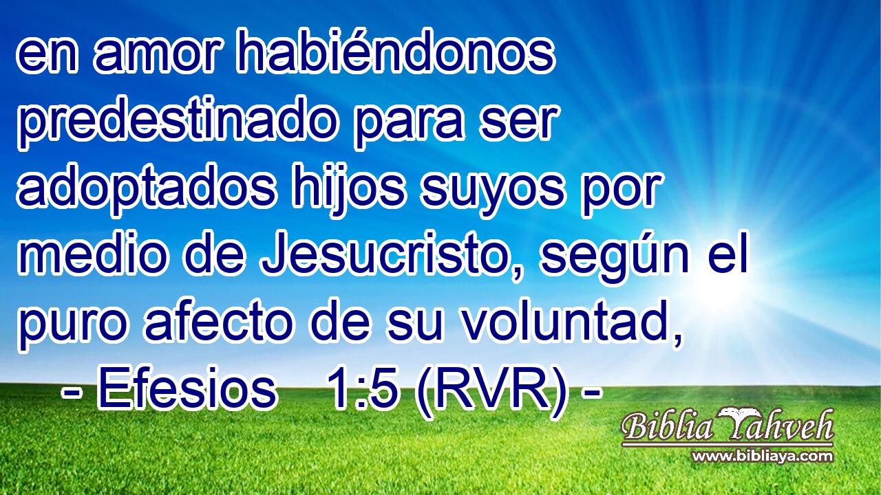 en amor habiéndonos predestinado para ser adoptados hijos suyos por medio de Jesucristo, según el puro afecto de su voluntad,