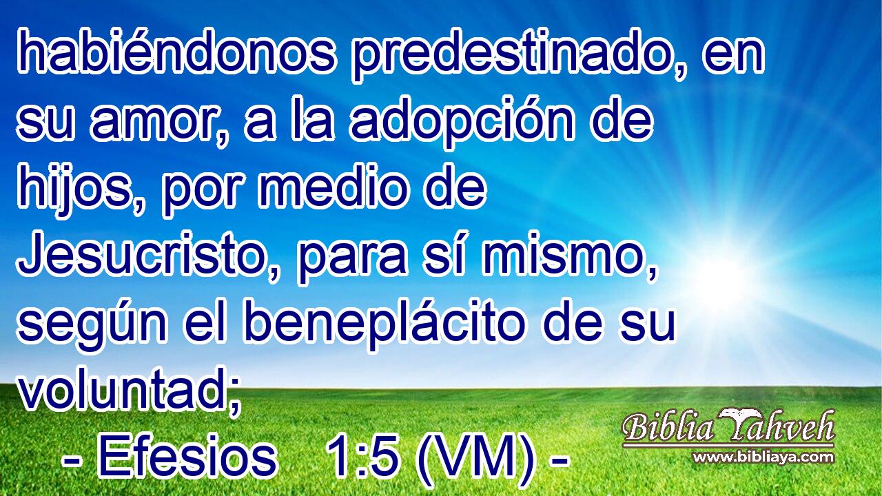  habiéndonos predestinado, en su amor, a la adopción de hijos, por medio de Jesucristo, para sí mismo, según el beneplácito de su voluntad; 