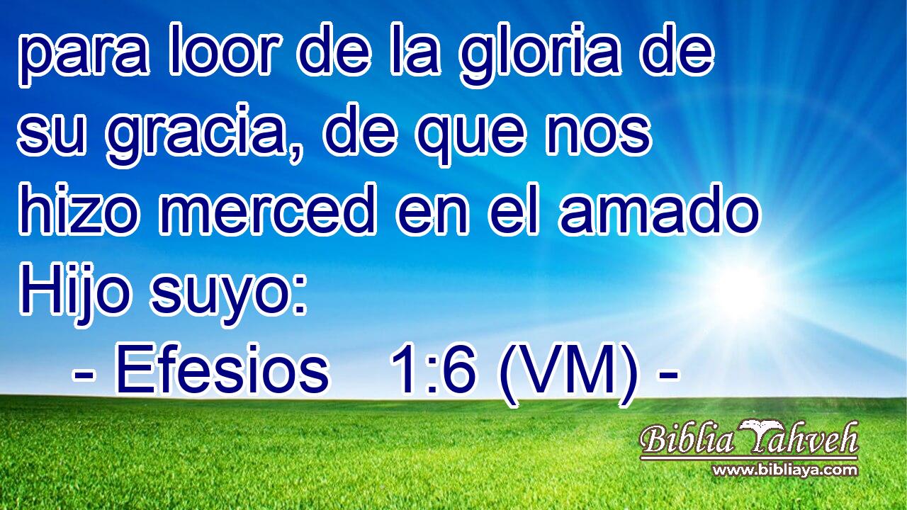  para loor de la gloria de su gracia, de que nos hizo merced en el amado Hijo suyo: 