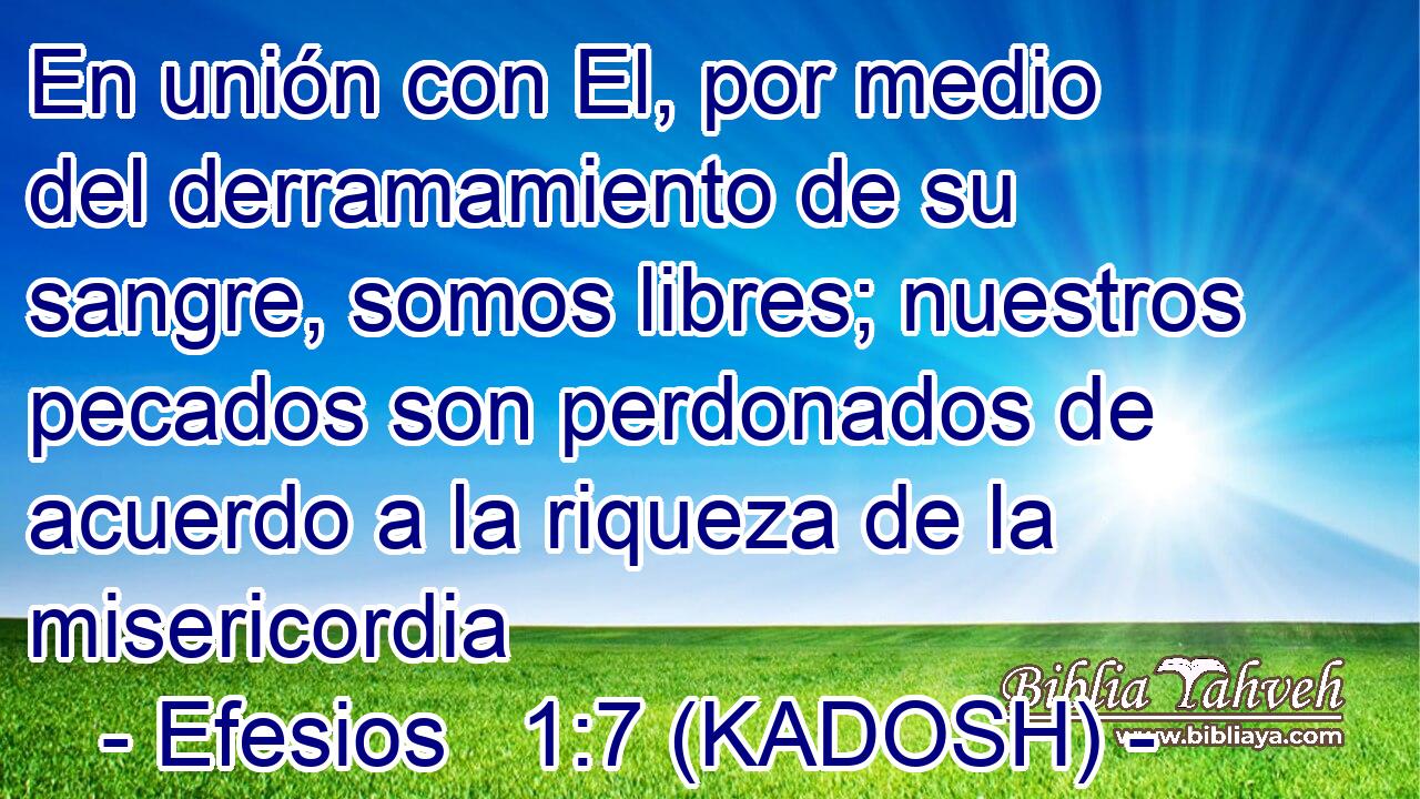  En unión con El, por medio del derramamiento de su sangre, somos libres; nuestros pecados son perdonados de acuerdo a la riqueza de la misericordia 